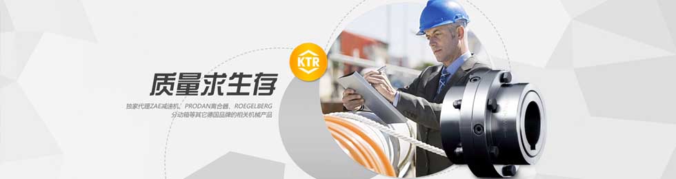 KTR BOWEX联轴器